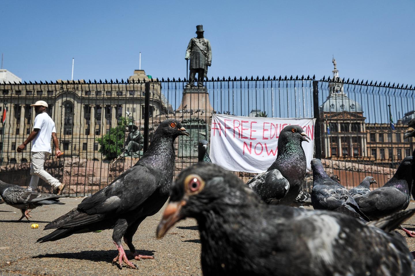 Pigeons gather in the foreground of Church Square, with the fenced Paul Kruger statue and a 'free education now' banner behind them.
