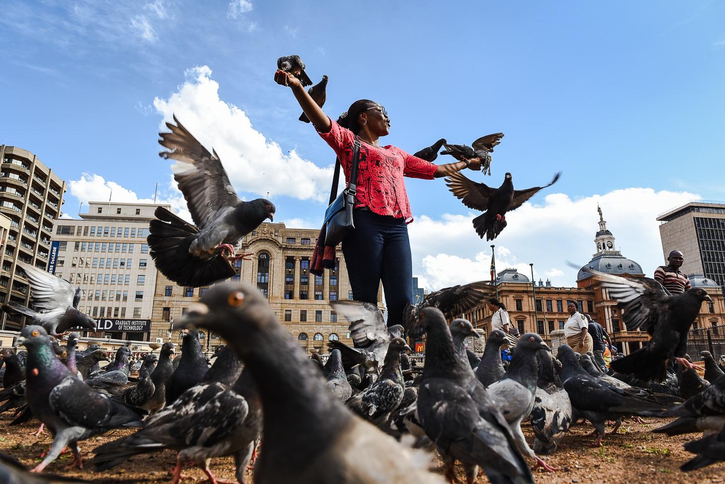 A person leaps with arms raised as pigeons scatter into flight, statue and government building behind.