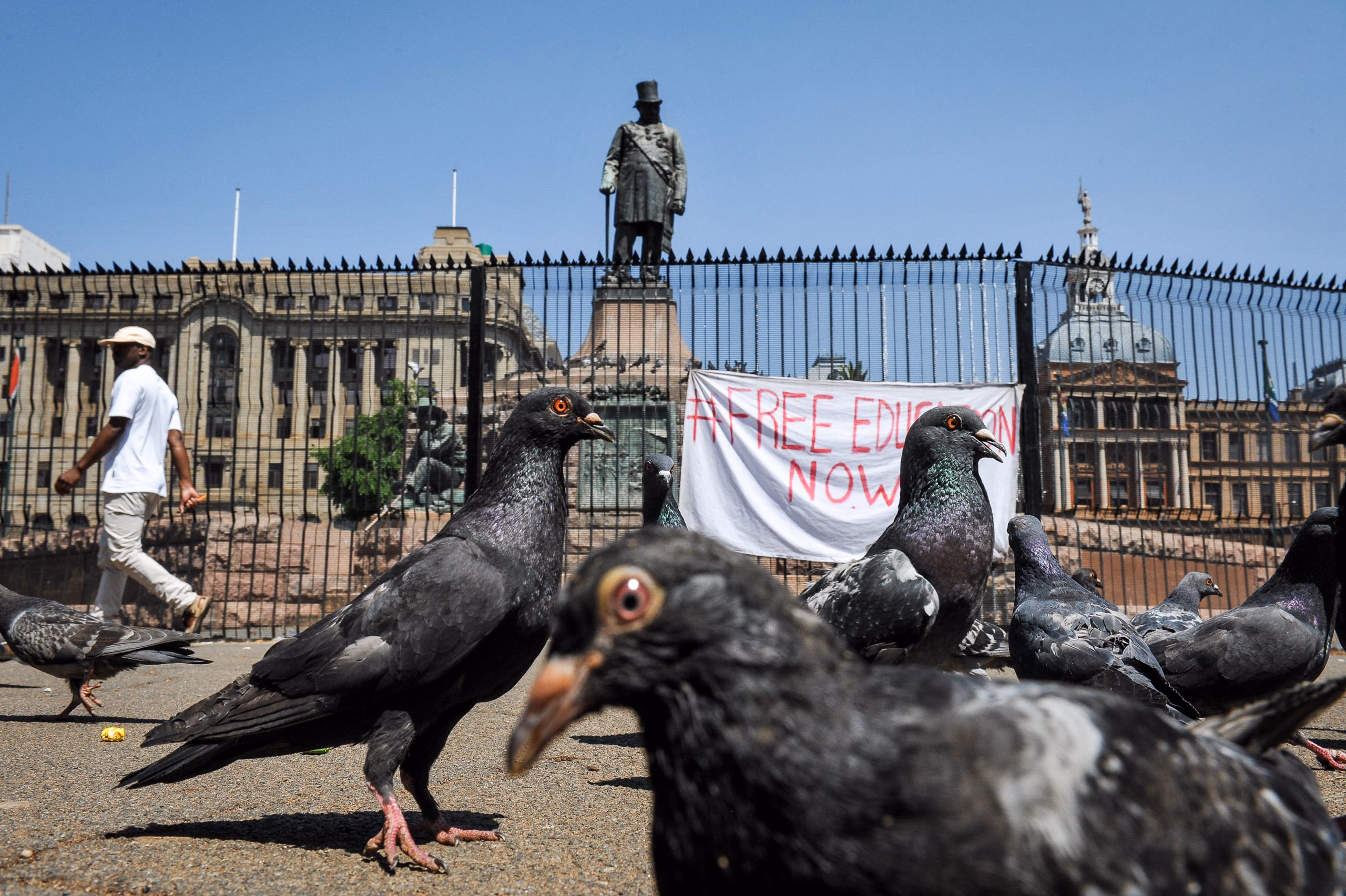 Pigeons gather in the foreground of Church Square, with the fenced Paul Kruger statue and a 'free education now' banner behind them.