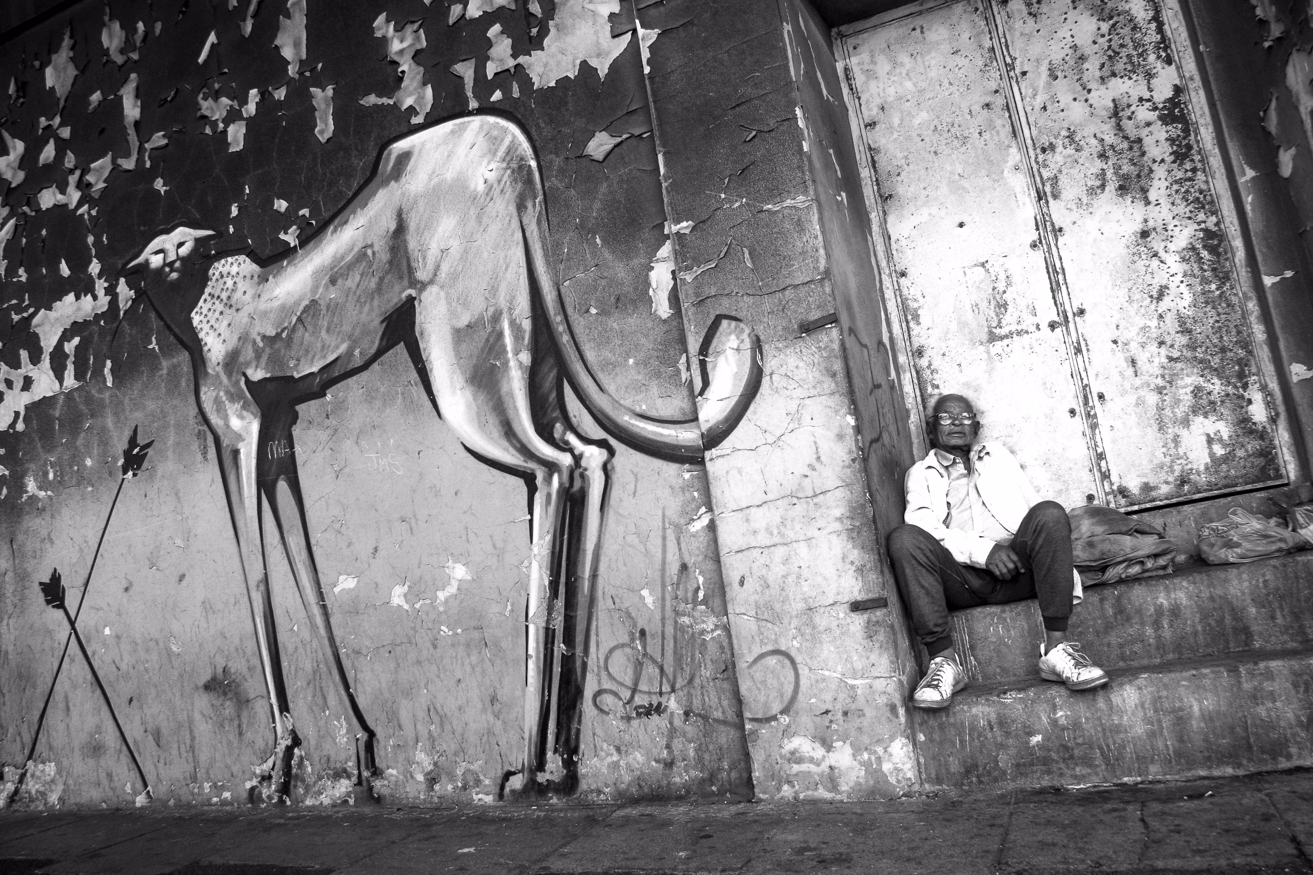 a large painted leopard and arrows on a peeling wall, with a man in a white jacket sitting on a low ledge in the doorway to the right, Woodstock, Cape Town.