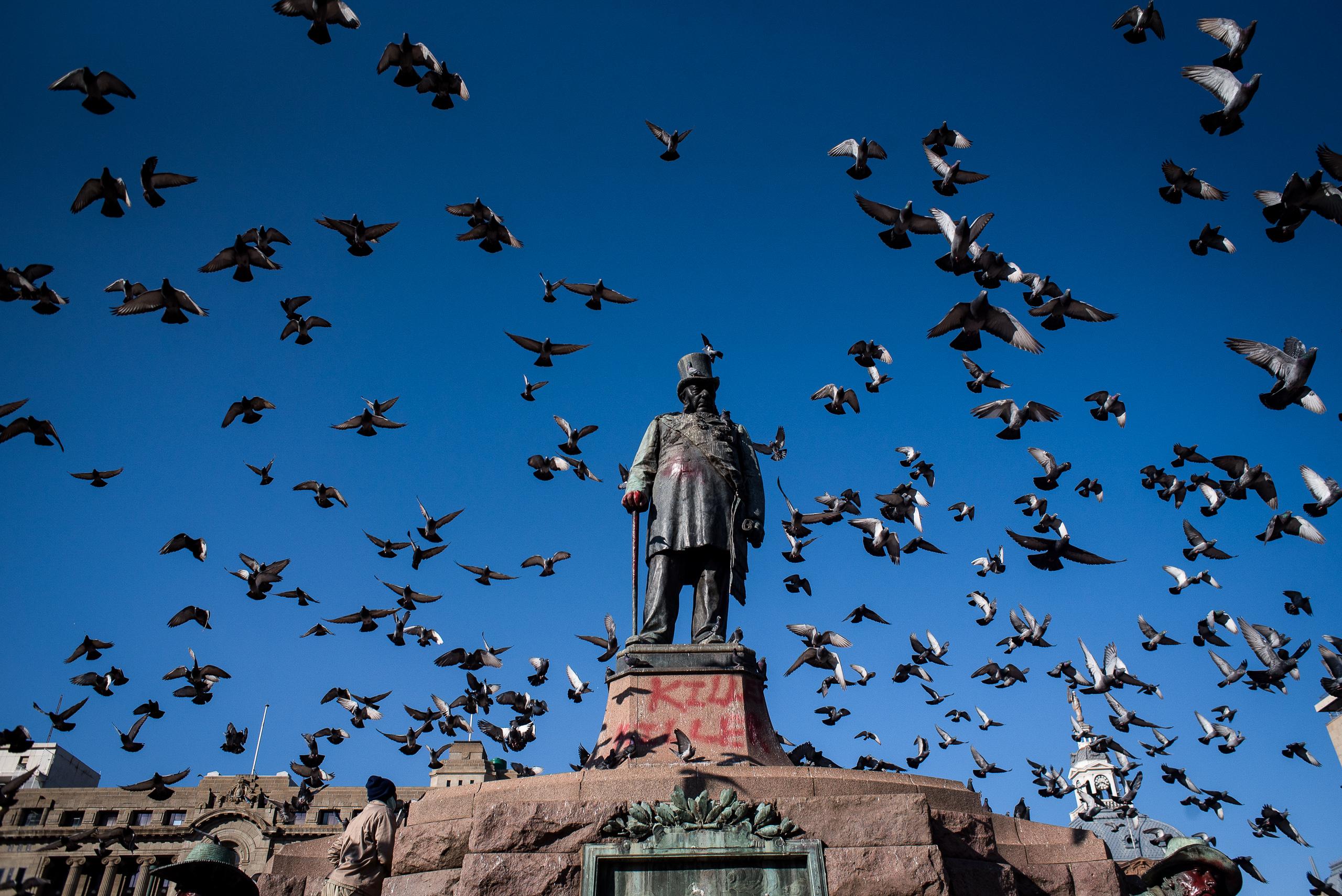 A bronze statue on a plinth almost hidden inside a dense flock of pigeons rising into a blue sky.