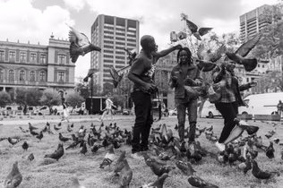 Black and white photograph of three people on a city square lawn surrounded by hundreds of pigeons, several birds in flight around their outstretched hands.