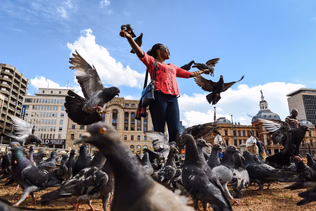 A person leaps with arms raised as pigeons scatter into flight, statue and government building behind.