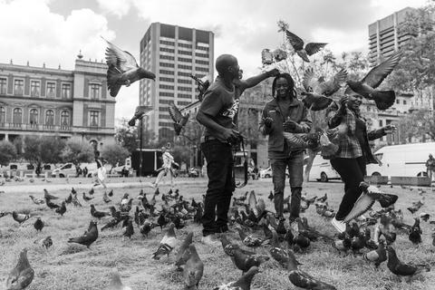 Black and white photograph of three people on a city square lawn surrounded by hundreds of pigeons, several birds in flight around their outstretched hands.