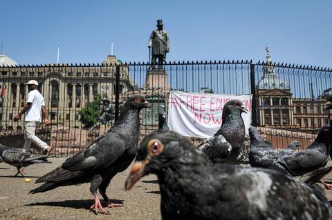 Pigeons gather in the foreground of Church Square, with the fenced Paul Kruger statue and a 'free education now' banner behind them.
