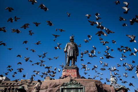 A bronze statue on a plinth almost hidden inside a dense flock of pigeons rising into a blue sky.